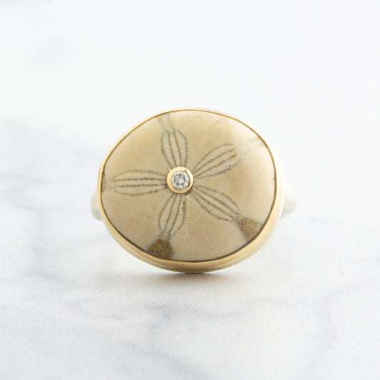 Sterling & 14K Gold Fossilized Sand Dollar & Diamond Ring